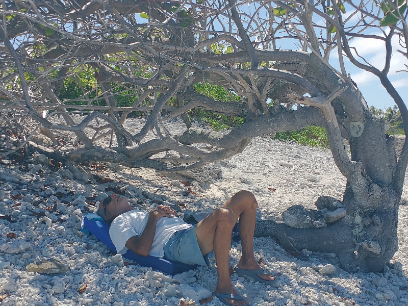 Sometimes there's no place for a hammock