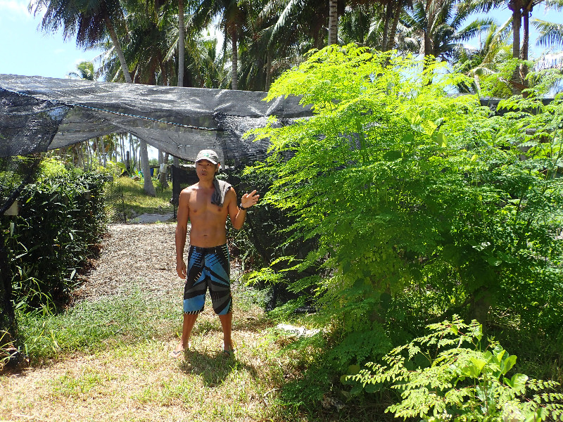 Fresh Produce at the Garden of Eden in Tikehau