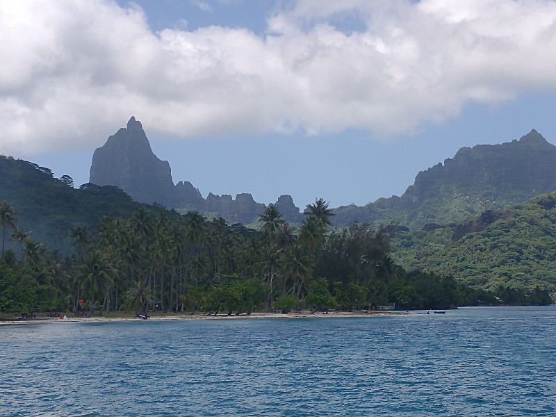 We never get tired of this view of Moorea