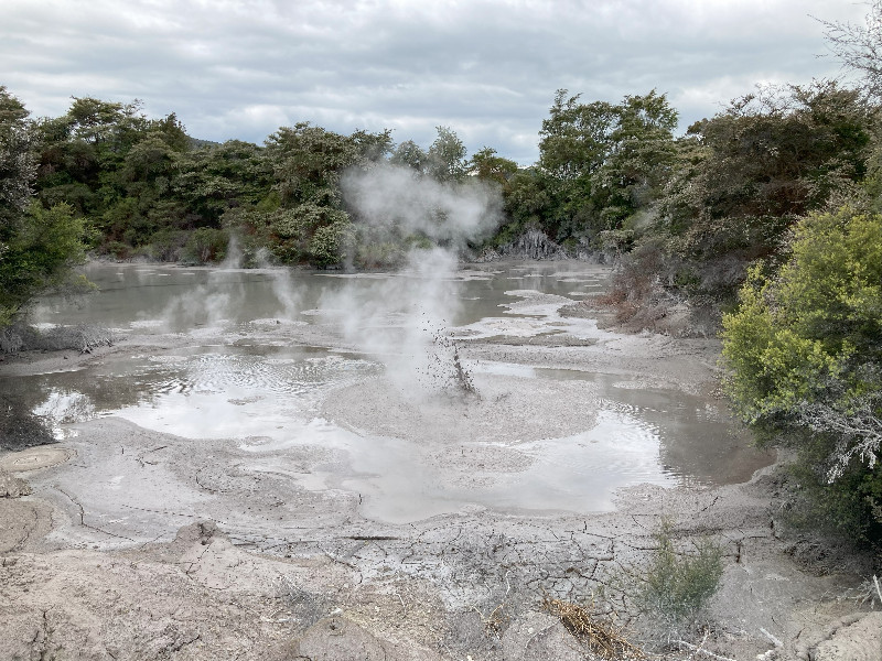 Waiotapu Thermal Wonderland Steaming mud pools (2)