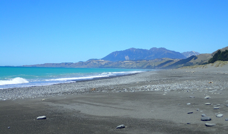Kaikura the seafood town